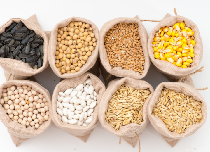 African food industry