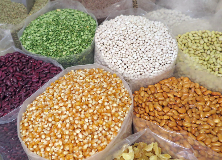PAMAJA Foods operations