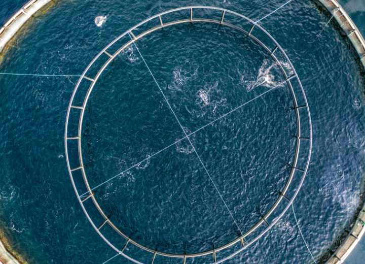 African fisheries industry