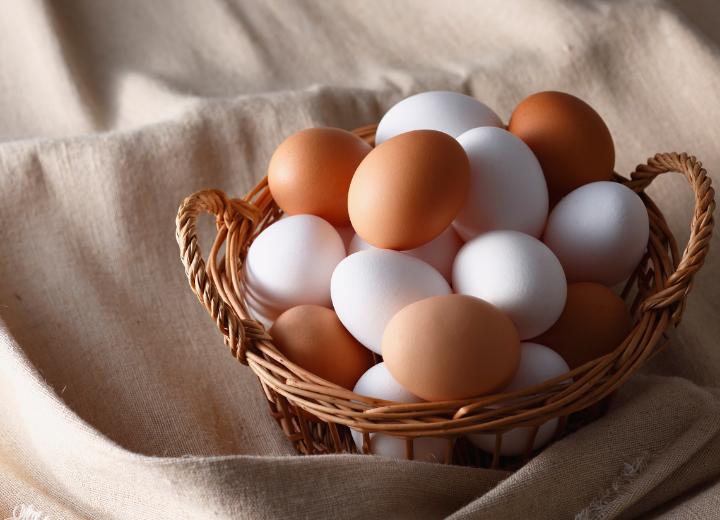 PAMAJA Poultry Farming